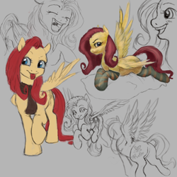 Size: 6000x6000 | Tagged: safe, artist:misstwipietwins, derpibooru import, fluttershy, pegasus, pony, absurd file size, absurd resolution, butt, clothes, plot, scarf, sketch, sketch dump, socks, solo