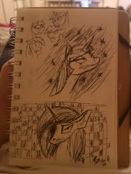 Size: 2736x3648 | Tagged: safe, derpibooru import, princess luna, twilight sparkle, angry, irl, photo, sketch, traditional art