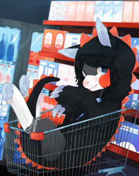 Size: 1932x2446 | Tagged: safe, artist:qawakie, derpibooru import, oc, oc only, pony, claws, clothes, hoodie, indoors, shopping cart, smiling, solo, underhoof