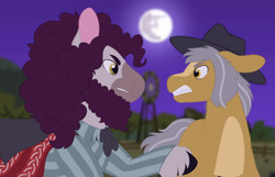 Size: 3489x2249 | Tagged: safe, artist:queenderpyturtle, derpibooru import, igneous rock pie, oc, oc:shoofly, earth pony, beard, facial hair, male, moon, night, stallion