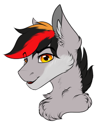 Size: 504x617 | Tagged: safe, artist:ondrea, derpibooru import, oc, oc only, oc:primaryforce, pegasus, cheek fluff, chest fluff, ear fluff, ears, simple background, solo, transparent background