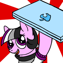 Size: 800x800 | Tagged: safe, artist:thedragenda, derpibooru import, oc, oc:ace, earth pony, pony, ask-acepony, computer, laptop computer, solo