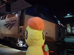 Size: 4000x3000 | Tagged: safe, artist:topsangtheman, derpibooru import, peachy sweet, earth pony, pony, amtrak, apple family member, irl, looking at you, photo, plushie, solo, train