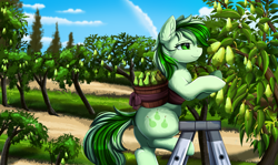 Size: 3517x2095 | Tagged: safe, artist:pridark, derpibooru import, oc, oc only, earth pony, pony, butt, cloud, commission, cutie mark, earth pony oc, food, ladder, orchard, outdoors, pear, plot, sky, smiling, solo