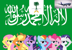 Size: 1024x721 | Tagged: safe, artist:princemoonbeam, derpibooru import, applejack, fluttershy, pinkie pie, rainbow dash, rarity, twilight sparkle, flag, mane six, plane, salute, saudi arabia