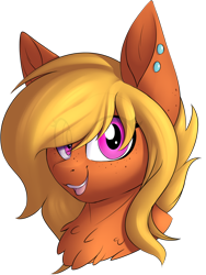 Size: 846x1124 | Tagged: safe, artist:notetaker, derpibooru import, oc, oc only, oc:princess corona lionheart iv, pony, female, mare, piercing, simple background, solo, transparent background