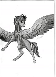 Size: 1275x1752 | Tagged: safe, artist:silbernepegasus, derpibooru import, oc, pegasus, solo