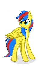 Size: 525x936 | Tagged: safe, derpibooru import, oc, oc only, oc:small zhu, pegasus, pony, female, full body, mare, pegasus oc, shadow, simple background, smiling, solo, standing, tail