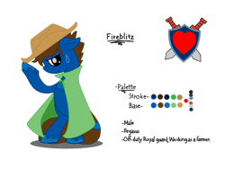 Size: 2828x2121 | Tagged: safe, artist:euphorictheory, derpibooru import, oc, oc only, oc:fireblitz, pegasus, pony, bipedal, cloak, clothes, ears, floppy ears, hat, male, reference sheet, simple background, solo, stallion, sweat, sweatdrop, text, transparent background, unshorn fetlocks