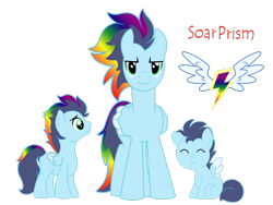 Size: 2828x2121 | Tagged: safe, artist:euphorictheory, derpibooru import, oc, oc only, oc:soar prism, pegasus, pony, age progression, colored wings, colt, foal, male, offspring, parent:rainbow dash, parent:soarin', parents:soarindash, reference sheet, simple background, sitting, spread wings, stallion, text, transparent background, wings