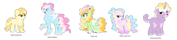 Size: 2600x591 | Tagged: safe, artist:tragedy-kaz, derpibooru import, oc, oc only, classical hippogriff, hippogriff, hybrid, kirin, pegasus, pony, base used, braid, braided tail, colored wings, female, group, hoof on chest, male, mare, parent:princess celestia, parents:canon x oc, pegasus oc, raised hoof, raised leg, simple background, smiling, stallion, tail, transparent background, two toned wings, wings