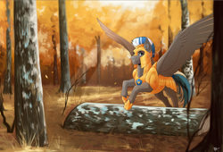 Size: 4092x2775 | Tagged: safe, artist:royvdhel-art, derpibooru import, oc, oc only, oc:cloud zapper, pegasus, pony, armor, flying, forest, helmet, male, pegasus oc, royal guard, smiling, stallion, tree, wings