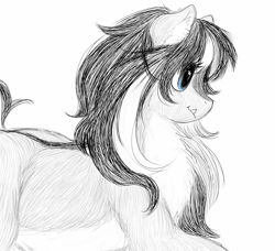 Size: 1483x1352 | Tagged: safe, artist:anonymous, oc, oc only, oc:the abominable snowmare, pony, blaze (coat marking), blue eyes, coat markings, ear fluff, ears, female, fluffy, mare, pale belly, simple background, snowpony (species), solo, taiga pony, white background