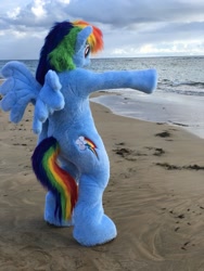 Size: 960x1280 | Tagged: safe, artist:atalonthedeer, derpibooru import, rainbow dash, anthro, pegasus, beach, clothes, cosplay, costume, female, fursuit, irl, lesbian, lgbtq, man, mare, ocean, photo, pointing, ponysuit, raised hoof, raised leg, sand, solo, wings