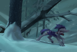 Size: 4000x2715 | Tagged: safe, artist:mithriss, derpibooru import, oc, oc only, oc:thunder run, bat pony, pony, bat pony oc, forest, mouth hold, snow, snowfall, solo, winter