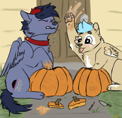 Size: 2005x1938 | Tagged: safe, artist:onyxdr, derpibooru import, oc, oc:dawn chaser, oc:onyx, werewolf, halloween, knife, male, paws, pumpkin, pumpkin carving, stallion, text, vitiligo, were-pony