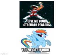 Size: 577x433 | Tagged: safe, derpibooru import, rainbow dash, pegasus, caption, image macro, meme, saint seiya, text, wrong aspect ratio