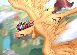 Size: 3508x2480 | Tagged: safe, artist:nuumia, derpibooru import, oc, pegasus, pony, blurry background, both cutie marks, determined, ear fluff, ears, flying, high res, male, signature, solo, spread wings, stallion, two colour hair, wings