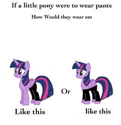 Size: 750x776 | Tagged: safe, artist:liamrev, derpibooru import, twilight sparkle, twilight sparkle (alicorn), alicorn, pony, clothes, female, if a dog wore pants, mare, meme, pants, question