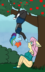 Size: 800x1280 | Tagged: safe, artist:mintymelody, derpibooru import, fluttershy, rainbow dash, anthro, apple, apple tree, bags under eyes, boop, bush, ear fluff, ears, female, flutterdash, hanging, hanging upside down, lesbian, shipping, tree, upside down