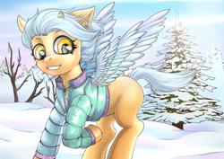 Size: 1754x1240 | Tagged: safe, artist:leastways, derpibooru import, oc, oc only, pegasus, pony, clothes, commission, ear piercing, earring, freckles, jacket, jewelry, missing cutie mark, piercing, scenery, snow, solo, tree, windswept mane, wings, winter, winter outfit, ych result