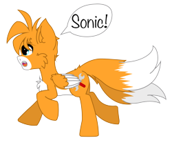 Size: 824x701 | Tagged: safe, artist:aerithechidna4rt, derpibooru import, fox, fox pony, hybrid, pony, cheek fluff, chest fluff, colored wings, cute, fangs, fluffy, miles "tails" prower, multiple tails, open mouth, ponified, running, simple background, sonic the hedgehog (series), speech bubble, tail, transparent background, two tails, two toned wings, wings