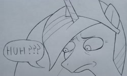 Size: 3072x1851 | Tagged: safe, artist:public mistake, derpibooru import, princess twilight 2.0, twilight sparkle, twilight sparkle (alicorn), alicorn, pony, bust, frown, grayscale, huh, monochrome, older, older twilight, pencil drawing, solo, speech bubble, traditional art