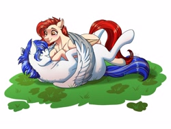 Size: 4000x3000 | Tagged: safe, artist:rand-dums, derpibooru import, oc, oc only, pegasus, pony, female, lying down, male, oc x oc, on back, partial background, pegasus oc, shipping, straight