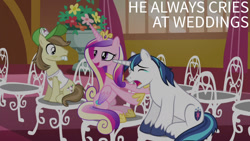 Size: 1280x720 | Tagged: safe, derpibooru import, edit, edited screencap, editor:quoterific, screencap, hayseed turnip truck, princess cadance, shining armor, alicorn, earth pony, pony, unicorn, season 5, slice of life (episode), chair, crown, crying, eyes closed, female, jewelry, male, mare, open mouth, ponyville town hall, regalia, stallion