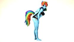Size: 3840x2160 | Tagged: safe, artist:ndelngin, derpibooru exclusive, derpibooru import, rainbow dash, anthro, pegasus, plantigrade anthro, 3d, alternate hairstyle, ankles, ass, barefoot, bra, breasts, buff, butt, clothes, feet, female, fit, folded wings, grin, hand on breasts, hand on thigh, happy, heart eyes, high res, huge butt, large butt, leaning, leaning forward, looking at you, muscles, muscular female, nexgen, nose wrinkle, pose, rainboob dash, rainbuff dash, rainbutt dash, scrunchy face, simple background, small breasts, smiling, smiling at you, solo, source filmmaker, standing, thighs, toes, underwear, wall of tags, white background, wingding eyes, wings