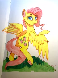 Size: 3024x4032 | Tagged: safe, artist:galinn-arts, derpibooru import, fluttershy, pegasus, pony, ear fluff, ears, female, looking at you, looking back, looking back at you, mare, open mouth, rear view, rearing, solo, traditional art