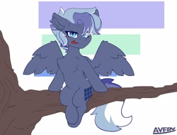 Size: 2048x1560 | Tagged: safe, artist:averyworks, derpibooru import, pegasus, pony, :p, blue eyes, chest fluff, commission, simple background, solo, tongue, tongue out, tree, tree branch, white background