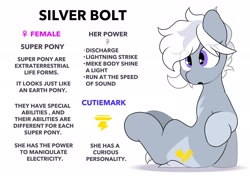 Size: 2064x1457 | Tagged: safe, artist:mochi_nation, derpibooru import, oc, oc only, oc:silver bolt, earth pony, pony, engrish, female, mare, reference sheet, simple background, sitting, solo, white background