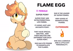 Size: 2064x1457 | Tagged: safe, artist:mochi_nation, derpibooru import, oc, oc only, oc:flame egg, earth pony, pony, coat markings, female, mare, reference sheet, simple background, sitting, solo, white background