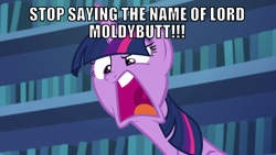 Size: 1066x600 | Tagged: safe, derpibooru import, edit, edited screencap, editor:twi clown, screencap, twilight sparkle, twilight sparkle (alicorn), alicorn, pony, every little thing she does, angry, caption, female, image macro, lord moldybutt, mare, reference, solo, text, the grim adventures of billy and mandy, this will end in property damage