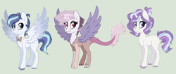 Size: 1017x432 | Tagged: safe, artist:teaneey, derpibooru import, oc, oc only, earth pony, pegasus, pony, base used, earth pony oc, female, mare, pegasus oc, simple background, spread wings, wings