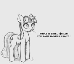 Size: 990x859 | Tagged: safe, artist:vickyvoo, derpibooru import, twilight sparkle, unicorn twilight, pony, unicorn, 4chan, cutie mark, dialogue, female, grayscale, mare, monochrome, oh no, pencil drawing, question, simple background, sketch, solo, traditional art, white background