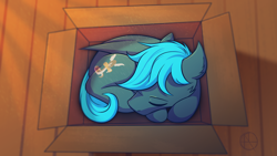 Size: 4000x2250 | Tagged: safe, artist:klarapl, derpibooru import, oc, oc only, oc:guttatus, bat pony, pony, bat pony oc, behaving like a cat, box, male, pony in a box, sleeping, solo, stallion