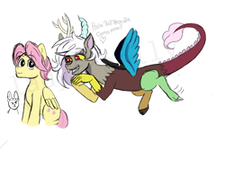 Size: 1600x1200 | Tagged: safe, derpibooru import, butterscotch, discord, eris, fluttershy, draconequus, pegasus, pony, discoshy, duo, eriscotch, eye clipping through hair, eyebrows, eyebrows visible through hair, female, flying, genderber, male, rule 63, shipping, simple background, smiling, spread wings, stallion, straight, white background, wings