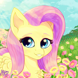 Size: 2000x2000 | Tagged: safe, artist:umbrapone, derpibooru import, clear sky, fluttershy, pegasus, pony, chest fluff, cute, detailed background, happy, looking at you, outdoors, pink mane, shyabetes, smiling, smiling at you, standing, sun rays