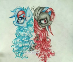 Size: 1024x874 | Tagged: safe, artist:maryhoovesfield, derpibooru import, oc, oc only, earth pony, pegasus, pony, bust, duo, earth pony oc, eyelashes, pegasus oc, signature, traditional art, wings, worried