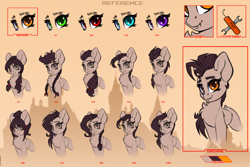 Size: 6000x4000 | Tagged: safe, artist:skitsroom, oc, oc only, oc:mayata, pegasus, pony, absurd resolution, alternate hairstyle, chest fluff, female, looking at you, mare, reference sheet, scar, solo