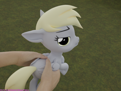 Size: 4000x3000 | Tagged: safe, artist:extremespeed slowpoke, derpy hooves, human, pony, 3d, blender, derpy hooves is not amused, hand, holding a pony, looking back, meme, nose wrinkle, offscreen character, solo focus