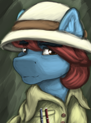 Size: 724x974 | Tagged: safe, artist:tekggd, derpibooru import, oc, oc only, oc:jungle trek, pony, bust, clothes, das vaterland, hat, male, portrait, solo