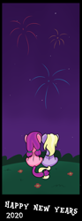 Size: 1920x5141 | Tagged: safe, artist:dinkyuniverse, derpibooru import, dinky hooves, lily longsocks, earth pony, pony, unicorn, comic, duo, duo female, female, filly, fireworks, flower, grass, happy new year, happy new year 2020, holiday, night, rear view, sitting, watching