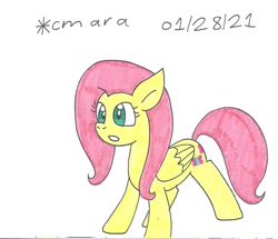 Size: 1153x992 | Tagged: safe, artist:cmara, derpibooru import, fluttershy, pegasus, pony, female, gritted teeth, mare, simple background, solo, traditional art, white background