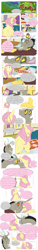 Size: 2894x19270 | Tagged: safe, artist:snspony, derpibooru import, discord, fluttershy, draconequus, pegasus, pony, bed, comic, crying, dialogue, discoshy, female, male, shipping, straight