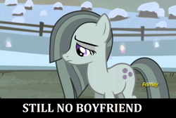 Size: 1278x858 | Tagged: safe, derpibooru import, edit, edited screencap, screencap, marble pie, earth pony, pony, hearthbreakers, caption, discovery family logo, female, image macro, lonely, mare, sad, single, solo, text, tfw no bf