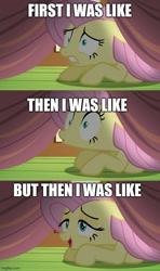 Size: 500x843 | Tagged: safe, derpibooru import, edit, edited screencap, screencap, fluttershy, pegasus, pony, scare master, at first i was like but then i was like, caption, comic, exploitable meme, female, gritted teeth, image macro, mare, meme, scared, screencap comic, solo, text, under the bed