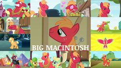 Size: 1968x1109 | Tagged: safe, derpibooru import, edit, edited screencap, editor:quoterific, screencap, apple honey, apple tarty, applejack, applejack (male), big macintosh, perfect pie, alicorn, cat, earth pony, unicorn, do princesses dream of magic sheep, dungeons and discords, friendship is magic, going to seed, hard to say anything, leap of faith, lesson zero, magic duel, on your marks, the big mac question, the break up breakdown, the cutie pox, the super speedy cider squeezy 6000, 0, 3, 4, angry, apple, apple family member, confused, cupcake, eyes closed, female, food, glowing horn, goggles, heart eyes, horn, magic, magic aura, male, open mouth, pancakes, princess big macintosh, race swap, rule 63, sir mcbiggen, solo, surprised, trio, unicorn big mac, wingding eyes